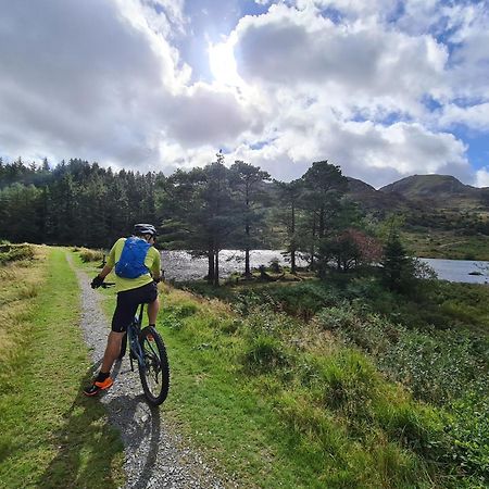 Delightful Camping Pod In Snowdonia, North Wales. Hotel Derwen Bagian luar foto