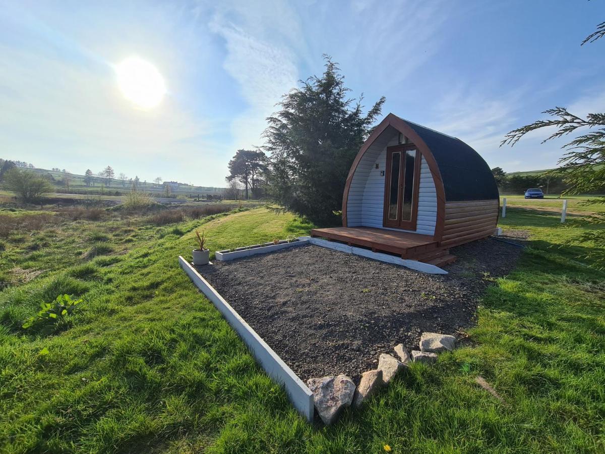 Delightful Camping Pod In Snowdonia, North Wales. Hotel Derwen Bagian luar foto